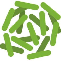 Lactobacillus Rhamnosus