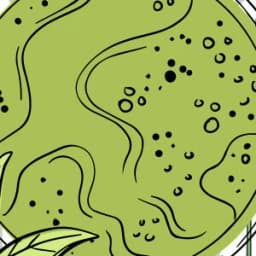 Greenselect Phytosome